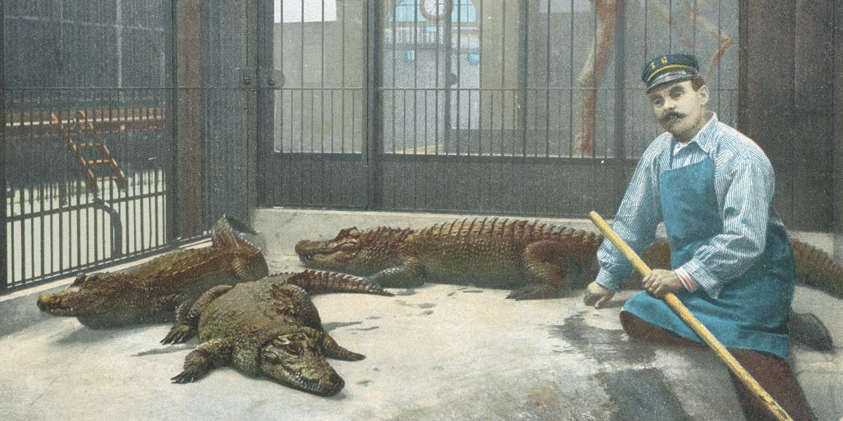 Nostalgie - eine alte Postkarte mit Sujet Zoo Basel