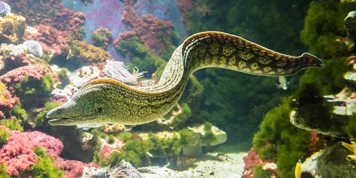 Futtervorbereitung im Vivarium